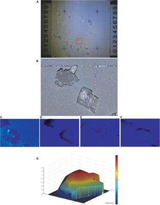 Presenting Snow Grain Size and Shape Distributions in Northern Canada Using a New Photographic Device Allowing 2D and 3D Representation of Snow Grains